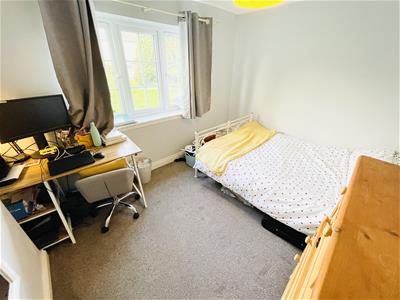 Picture 11